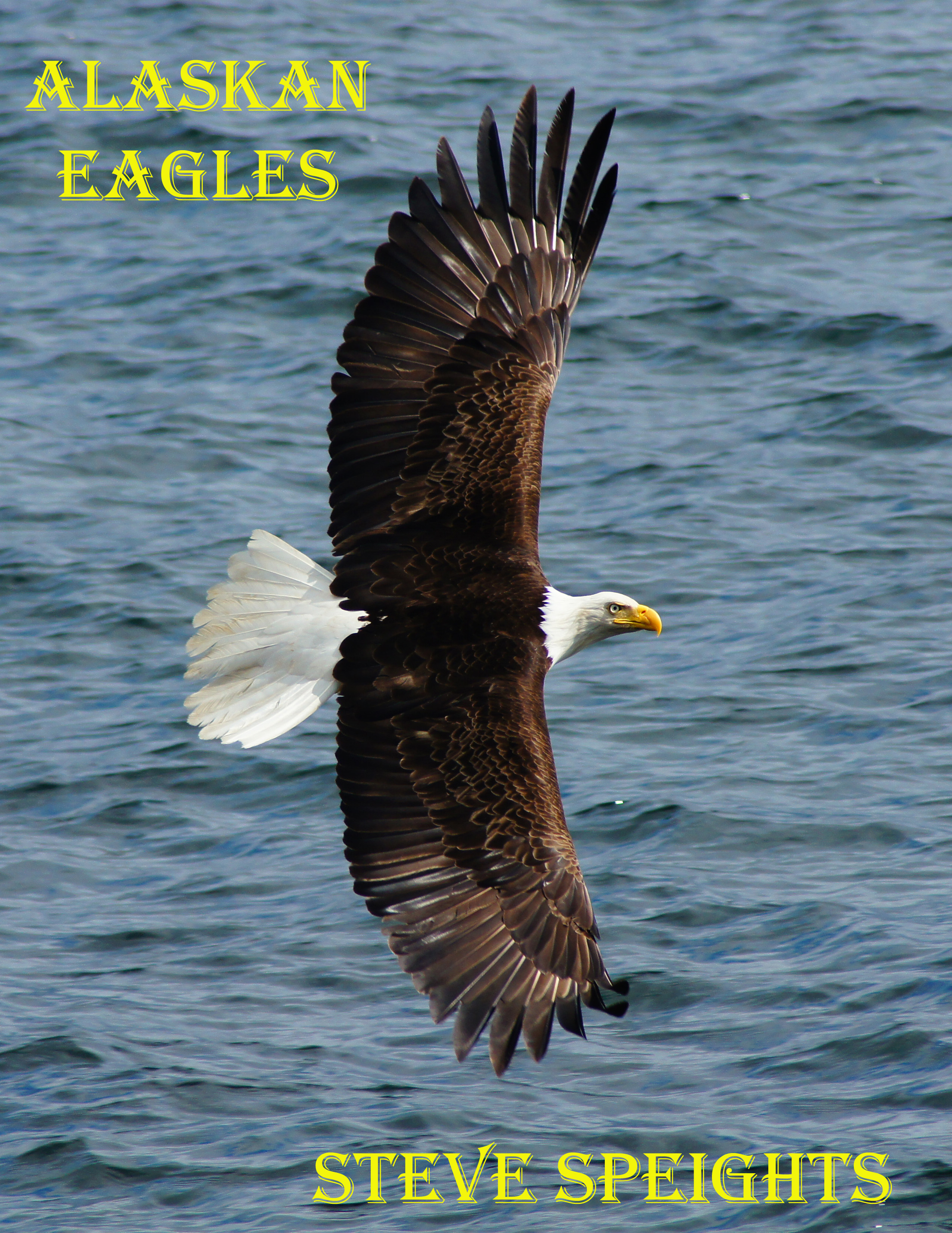 eagle cover